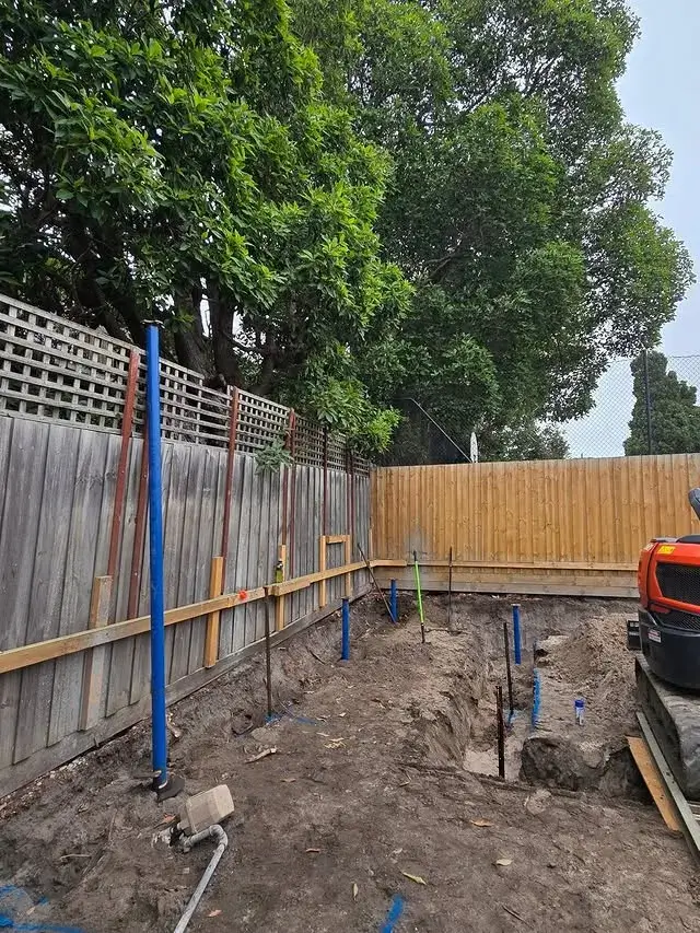 Tree health assessment example 1