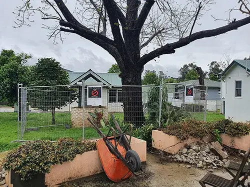Tree Protection Management Plan example 1