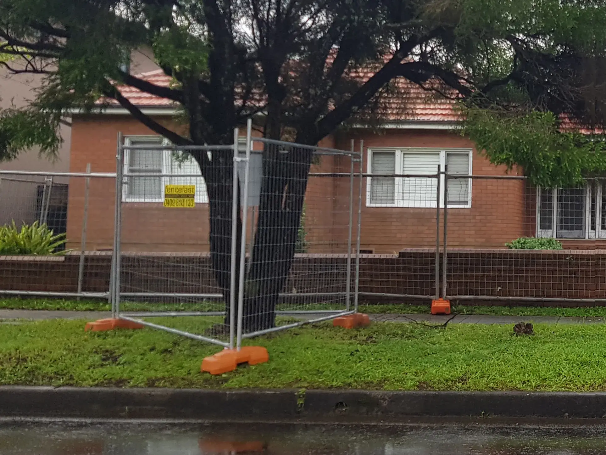 Tree Protection Management Plan example 2
