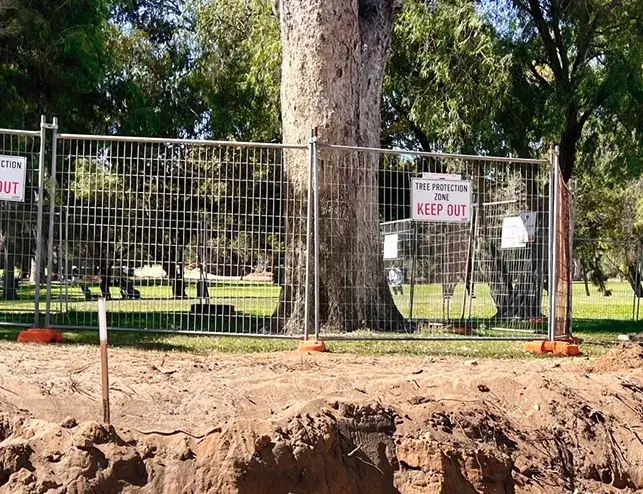 Tree Protection Management Plan example 3